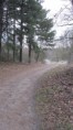 /album/fotogalerij/img-1106-jpg/