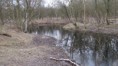 /album/fotogalerij/img-1108-jpg/