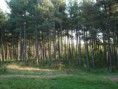 /album/fotogalerij/a3477649-jpg/