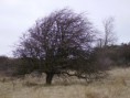 /album/fotogalerij/a7248785-jpg/